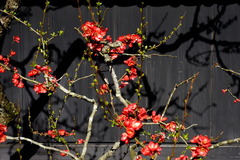 160302��Ļ��ܥ�