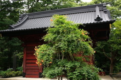 160626̯�ܻ��Υ����󥫥���1