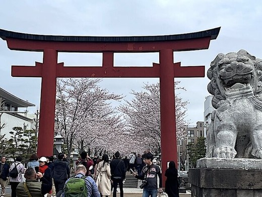 240406�ʳ륵����