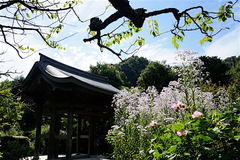 161006��¢��������3