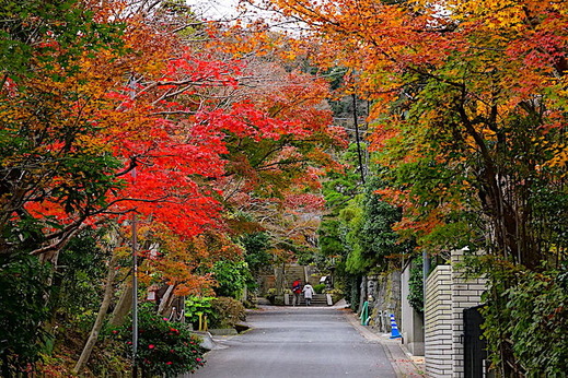 181209��¢������3