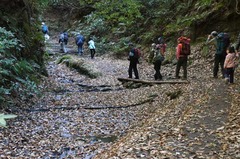 111217�����ë����4