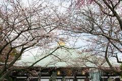 100327Ĺ����������