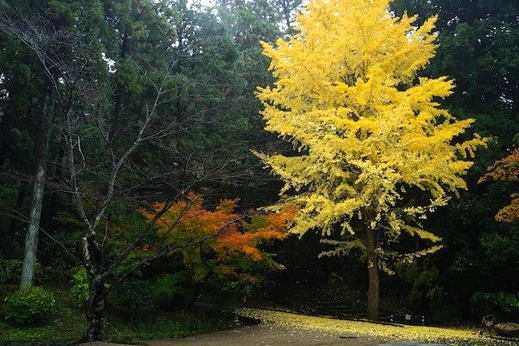 141201�߳л�����