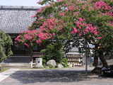 050806Ëܶ½»û¥µ¥ë¥¹¥Ù¥ê1