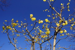 160128��̯�������Х�