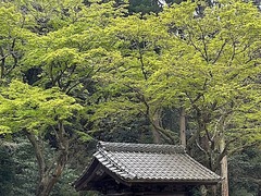 240406̯ËÜ»û¿·ÎÐ2