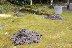 090124�¹������⥰��Τ���