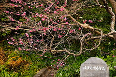 220123̯�ܻ�����