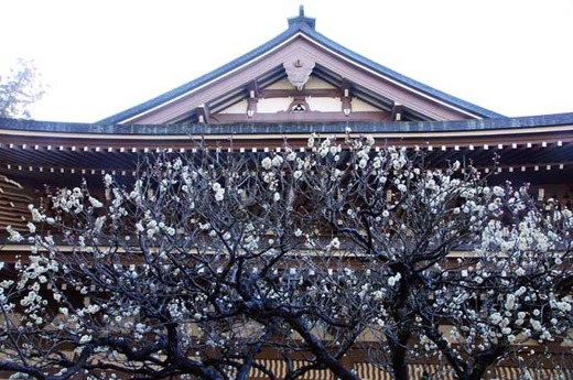 150219�߳л�����1