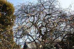 100206�����������쥦��