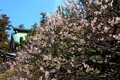 180303±ß³Ð»û¥¦¥á2