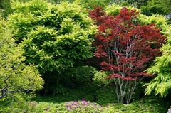 110427Ĺë������2