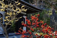 140323Ĺë���ܥ����ޥ󥵥�