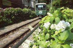 100612������ҹ����ť�������