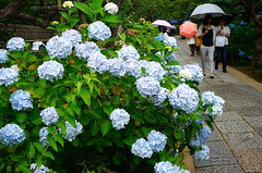 150621��Ļ���������1