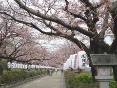 090401�ʳ륵����