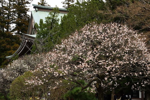 160215�߳л�����1