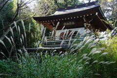 141019���һ�������