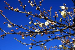 140129�߳л�����2