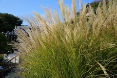 131030���ܱ�������