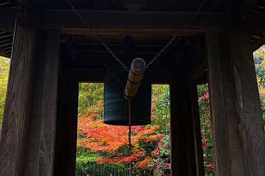 181203��������2