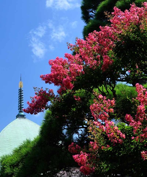 140811�ܳл����륹�٥�3