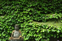 110618Åì·Ä»û¥¤¥ï¥¿¥Ð¥³3