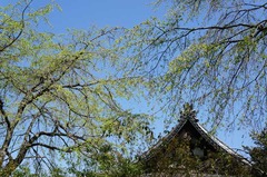 130404°Â¹ñÏÀ»û¿·ÎÐ