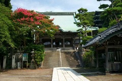 100731龍口寺サルスベリ1