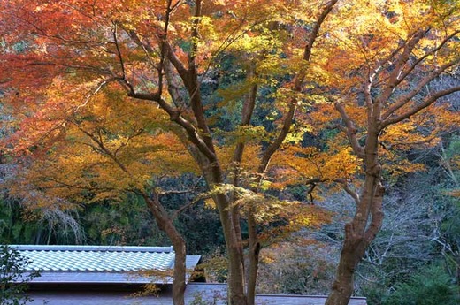 131215����������