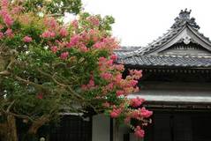 090812�ܳл����륹�٥�2