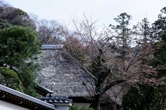 120403±ß³Ð»û¥µ¥¯¥é