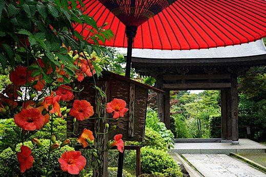 190718��¢���Υ����󥫥���