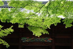 160427̯�ܻ�����1