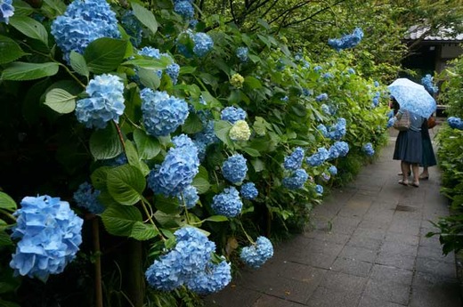 130614�����������2