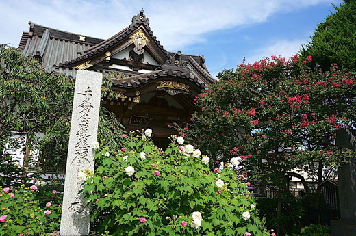 170905̯δ�������ե襦2