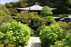 120906瑞泉寺フヨウ