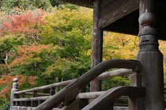 121203妙本寺紅葉3