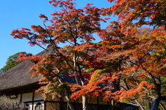 151201�߳л����գ�