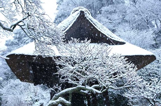 120229��Ļ���