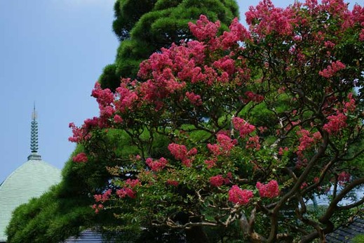 110813�ܳл����륹�٥�