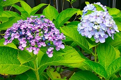 240625�繪����������