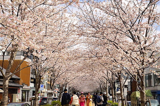 230330�ʳ륵����1