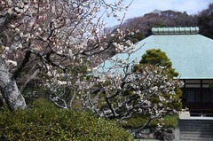 120228��̯������