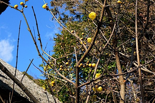 240113���һ������Х�