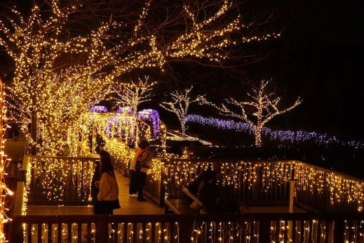 190119�����祤��ߥ͡������