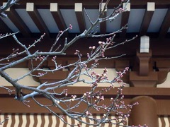 120211�߳л�����2