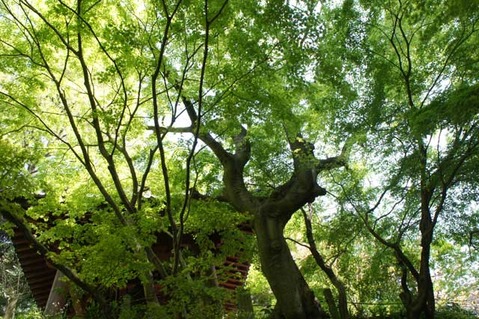 110420̯�ܻ�����