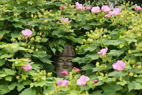 090801̯δ���ե襦